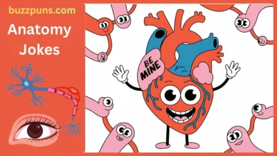 Anatomy Jokes