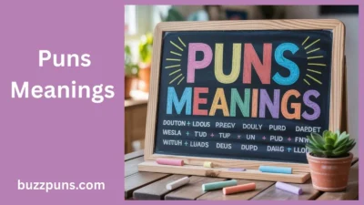 Puns Meanings